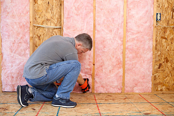 Best Specialty Insulation in Webster, SD